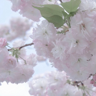 Furry绘画配色指南FurryQQ群